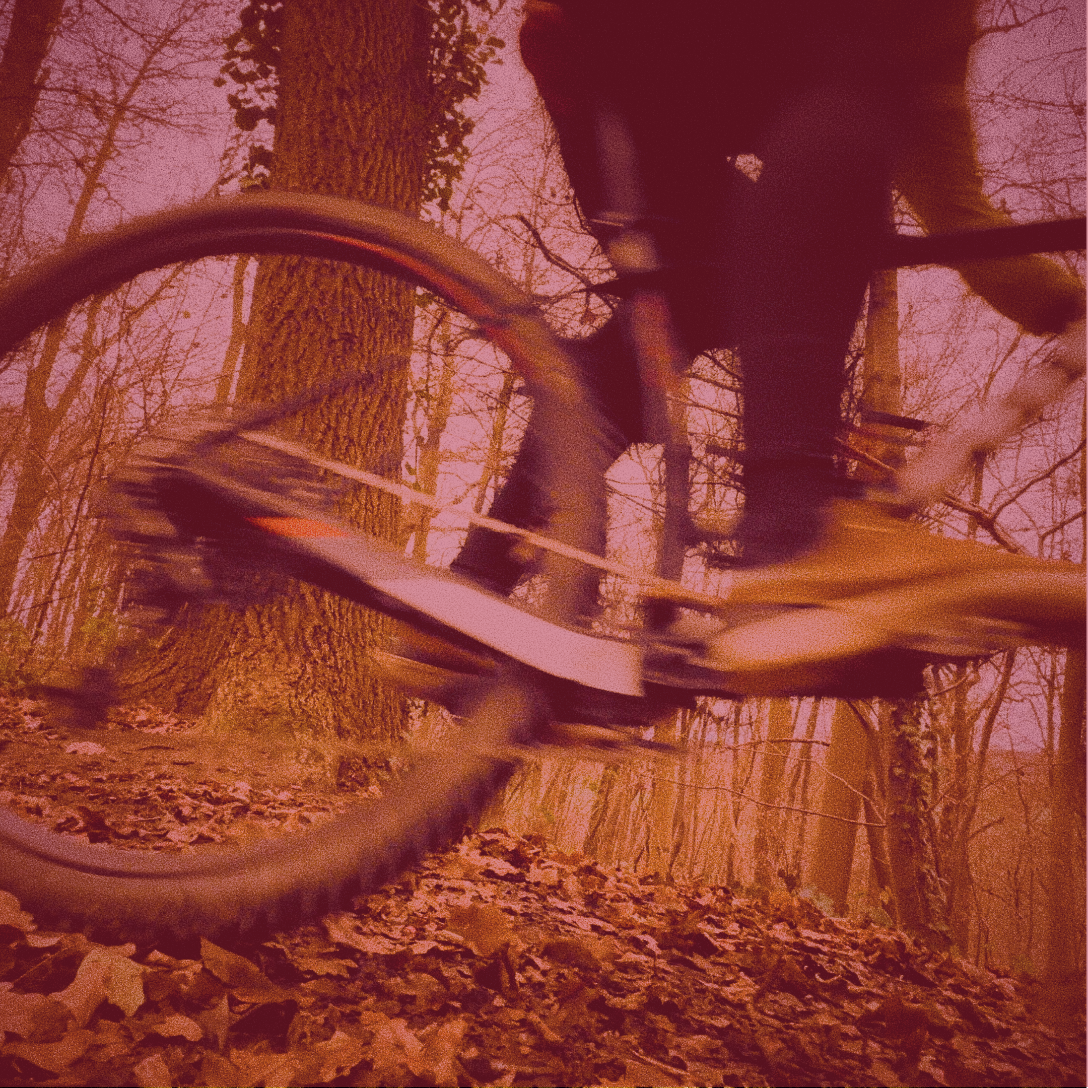 La Trapp'Run - VTT 20K - 32K - 50K